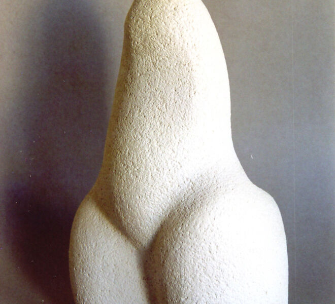 hermaphrodit