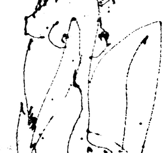 paar1