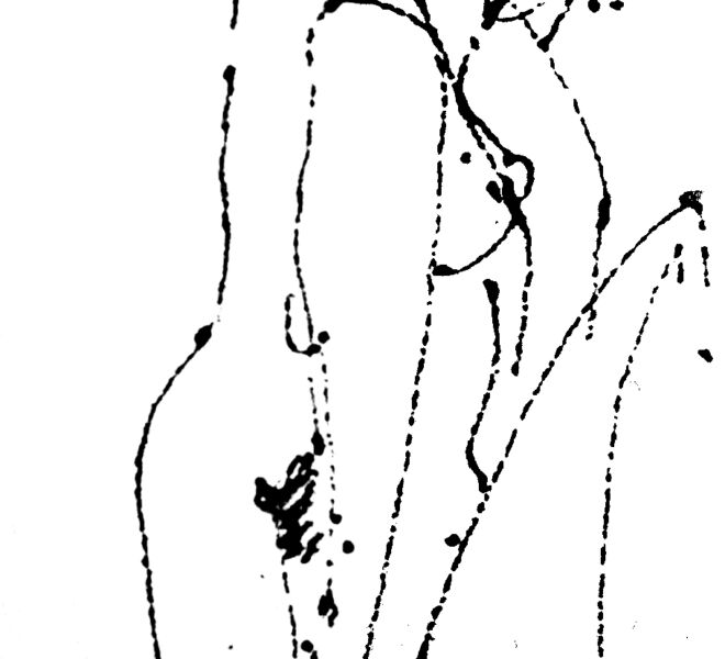 paar2