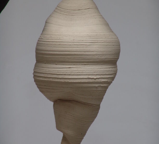 spindeltiere_detail
