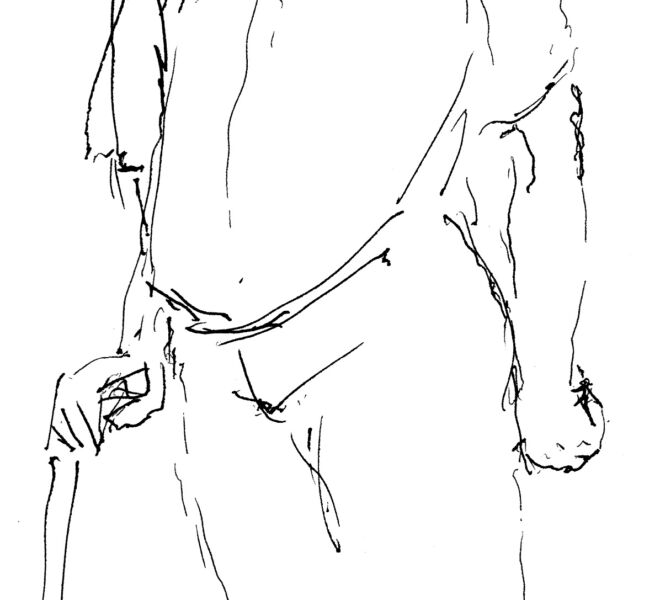 steh_er_15